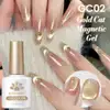 Born Pretty Cat Magnetic gél lakk 10 ml - MY213/GC02