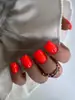 Victoria Vynn Gel Polish 8 ml No.061