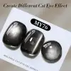 Born Pretty Cat Magnetic gél lakk 10 ml - MY076