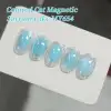 Born Pretty Cat Magnetic gél lakk 10 ml - MY654