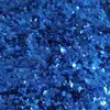 PN Metallic holo glitter mix No.30 Blue