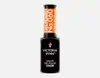 Victoria Vynn Gel Polish 8 ml No.060