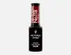 Victoria Vynn Gel Polish 8 ml No.118