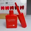 CANNI HEMA FREE UV/LED gél lakk 9ml No.9108