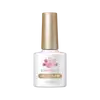 Born Pretty Cat Magnetic gél lakk 10 ml - MY101/WL06
