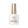 Born Pretty Cat Magnetic gél lakk 10 ml - MY096/WL01