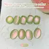 Born Pretty Cat Magnetic UV/LED gél lakk 10 ml - Fruit Basket - MY278 - Guava