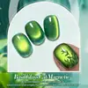 Born Pretty Cat Magnetic UV/LED gél lakk 10 ml - MY39