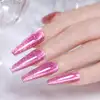Born Pretty Cat Magnetic UV/LED gél lakk 10 ml - CM02