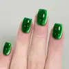 Born Pretty Cat Magnetic UV/LED gél lakk 10 ml - Fruit Basket - MY269 - Imperial Green