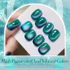 Born Pretty Cat Magnetic UV/LED gél lakk 10 ml - MY25 - Dreamy Sea