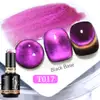 BORN PRETTY PRO UV/LED gél lakk 15 ml - T017 - Double Light Cat Eye