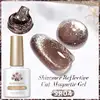 Born Pretty Cat Magnetic UV/LED gél lakk 10 ml - SR04