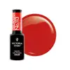 Victoria Vynn Gel Polish 8 ml No.113