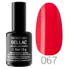 Profinails Gel Lac LED/UV lakkzselé 15gr No.067