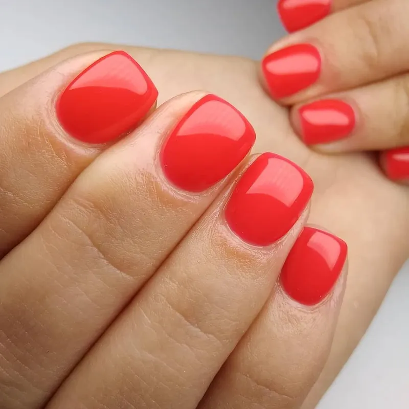 Profinails Gel Lac LED/UV lakkzselé 6gr No.067