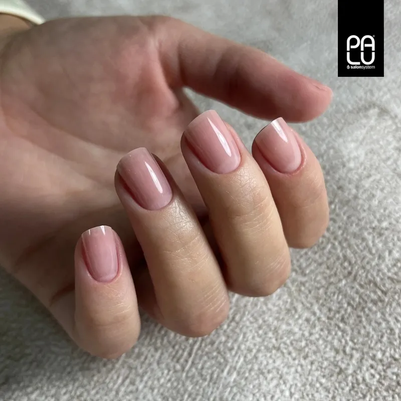 PALU PRO Control Builder Gel 45g - Classic Cover