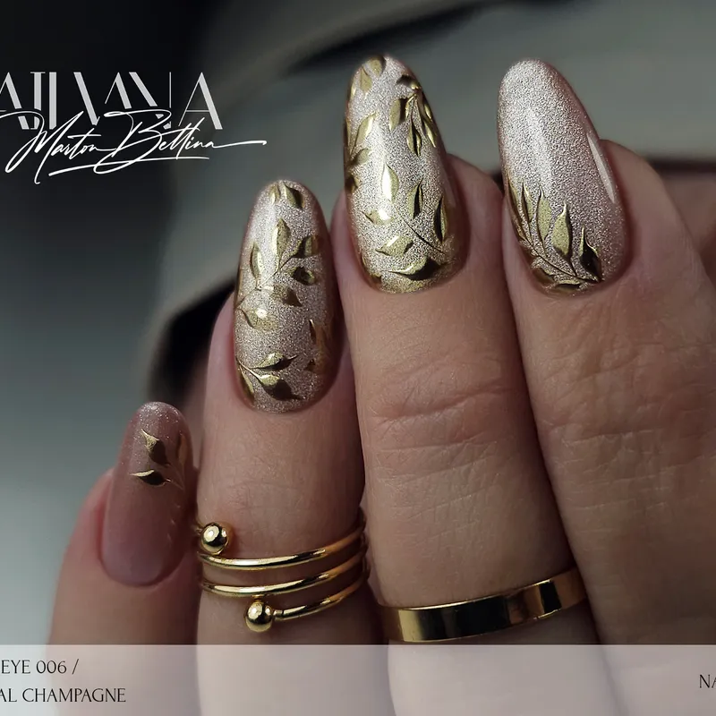NAILVANA Géllakk - Cat Eye 006