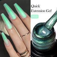 Born Pretty Pro HEMA FREE Quick Building Gel 15 ml - B031