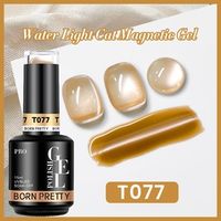 BORN PRETTY PRO UV/LED gél lakk 15 ml - T077 - Water Light Cat Magnetic