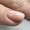 CANNI HEMA FREE Quick Builder Gel - 9 ml - X22 Warm Beige