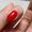 Born Pretty Trubuty UV/LED HEMA FREE gél lakk 15 ml - No.037