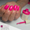 Born Pretty TERRA UV/LED gél lakk 10 ml - No.044 - Hema-Free
