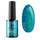 PALU Jelly Base - 11g - Aqua