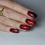Victoria Vynn Gel Polish 8 ml No.246 - Cat Eye