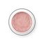PALU Pro Light Builder építőzselé 45g - Pretty Shine