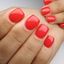Profinails Gel Lac LED/UV lakkzselé 6gr No.067