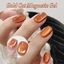 Born Pretty Cat Magnetic gél lakk 10 ml - MY216/GC05