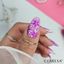 CLARESA UV/LED Brush Easy Gel 5g - Violet