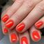 Profinails Gel Lac LED/UV lakkzselé 6gr Neon Collection No.N-11