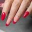 BORN PRETTY PRO Hard Gel építőzselé 30 ml - HG10 - Rococo Rose