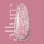 Allure gél lakk kollekció 6x10ml - Miracle