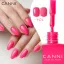 CANNI HEMA FREE UV/LED gél lakk szett (24db-os) No.CC8