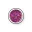 PALU Princess Art Gel - 10 g - Rosy Bella