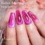 Born Pretty Cat Magnetic gél lakk 10 ml - MY112