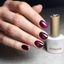 Born Pretty Cat Magnetic gél lakk 10 ml - MY496