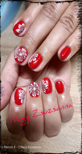 Nagy Zsuzsanna