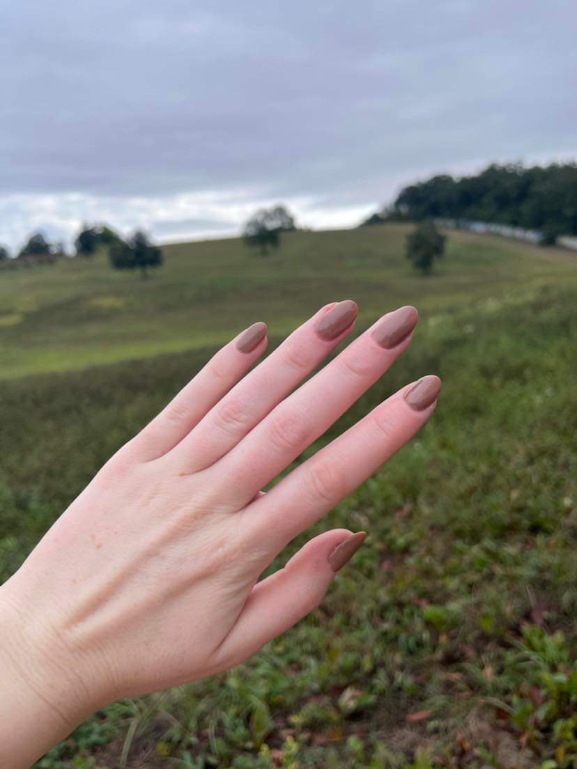 Orsi