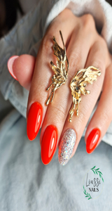 LinssiNails munkája 5