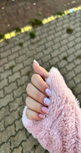 Palotainé Kis Petra munkája 2