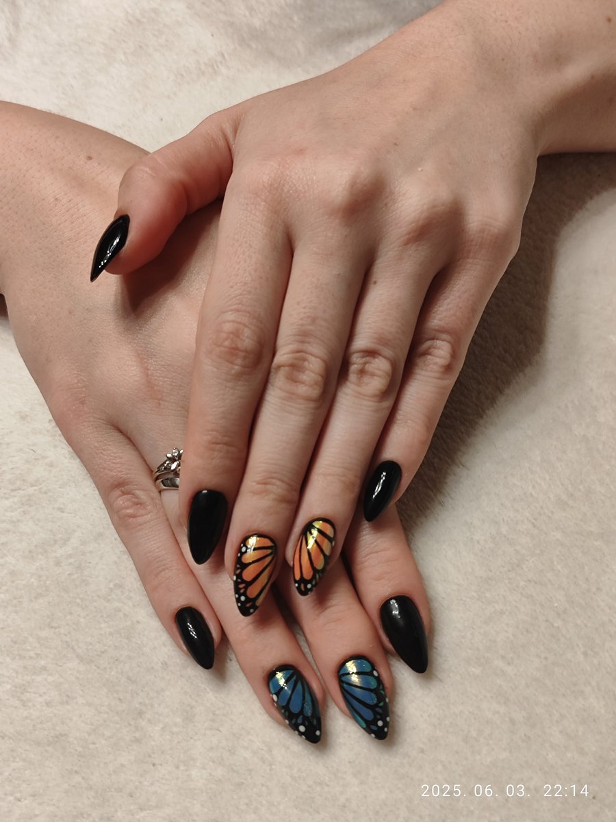 Volf Dóra  munkája 12