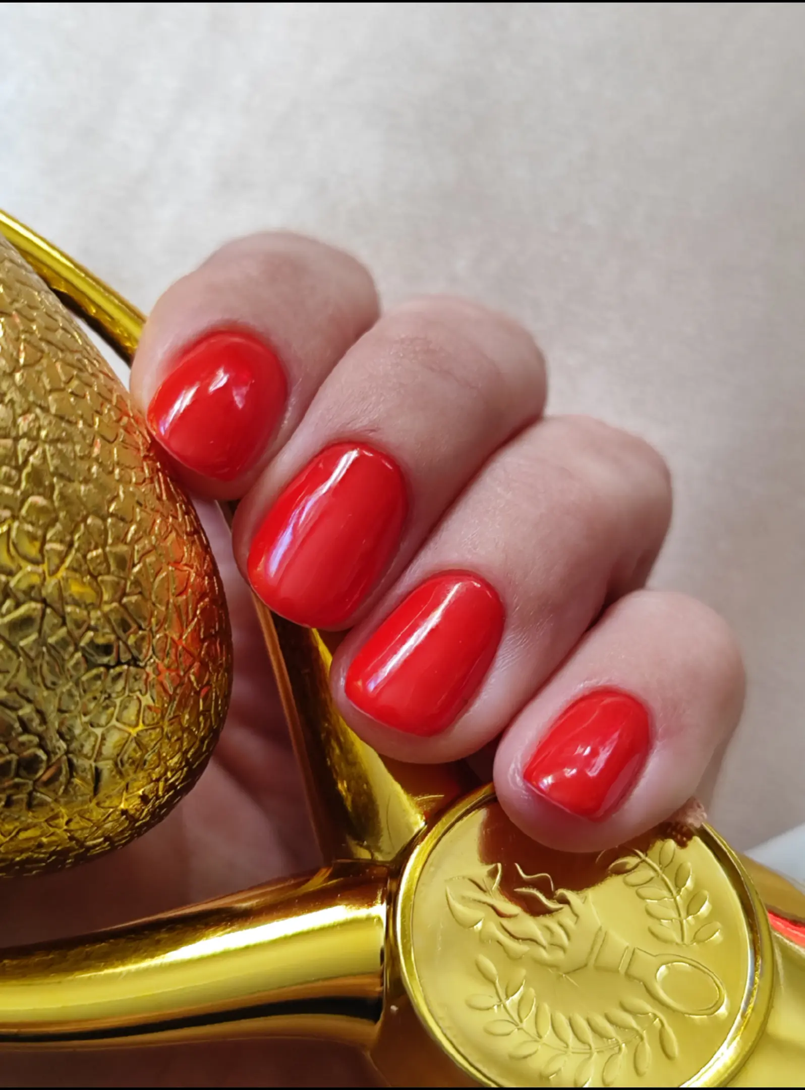 Volf Dóra  munkája 2