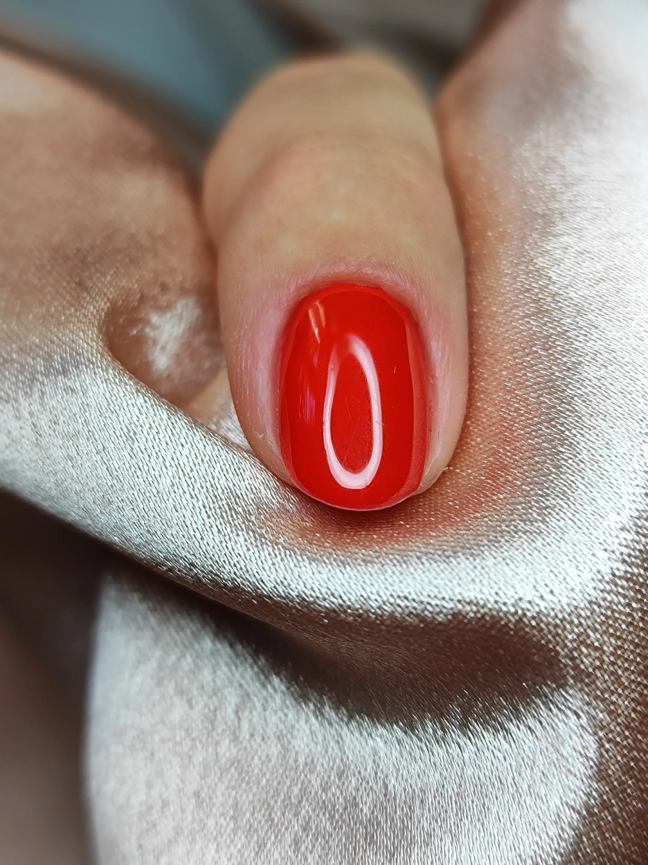 Volf Dóra  munkája 1