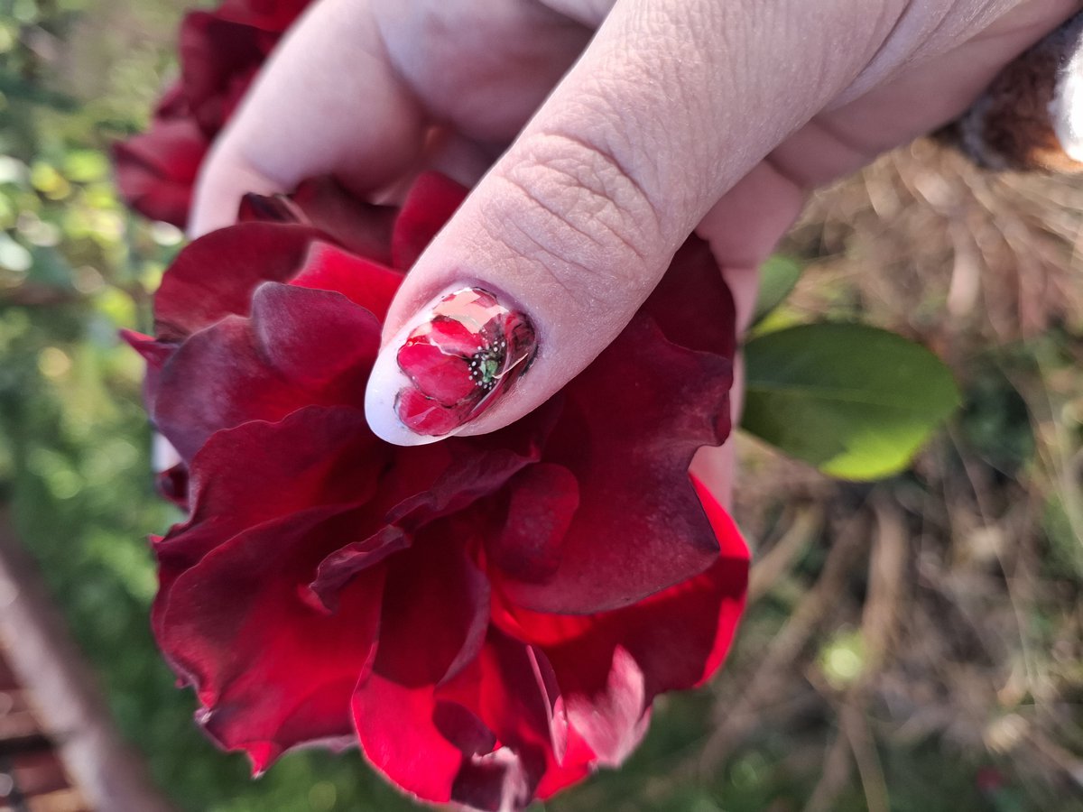 06703627880 munkája 1