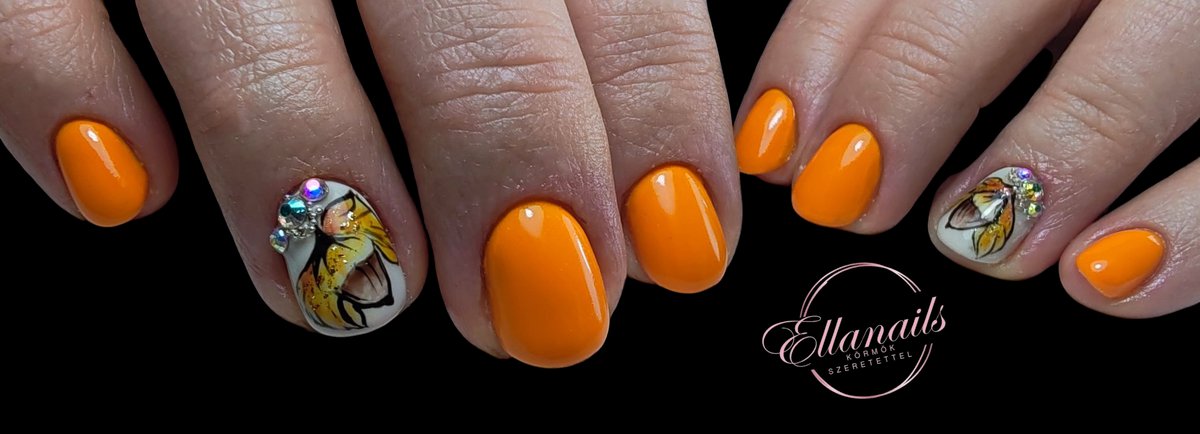 Löffler Gabriella  munkája 11