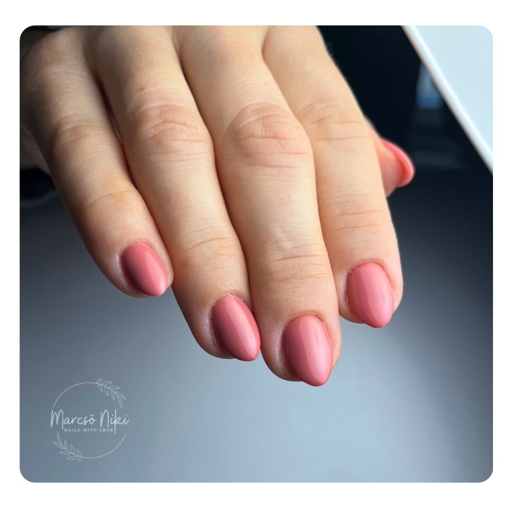 Marcsó Niki munkája 26